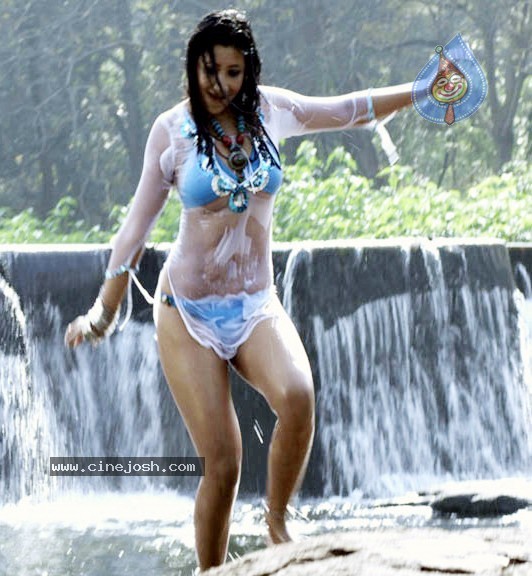 Kattu Puli Tamil Movie Spicy Stills - 25 / 49 photos