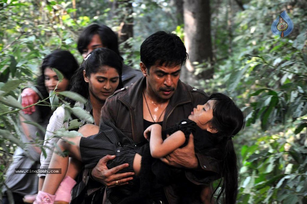 Kattu Puli Tamil Movie Spicy Stills - 26 / 49 photos