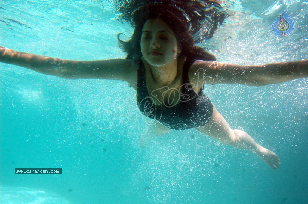 Keerthi Chawla Spicy Stills - 126 / 195 photos