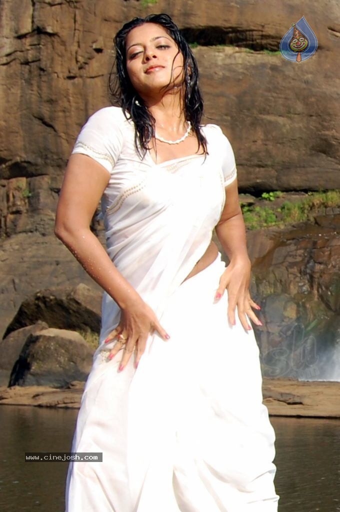 Keerthi Chawla Spicy Stills - 13 / 150 photos