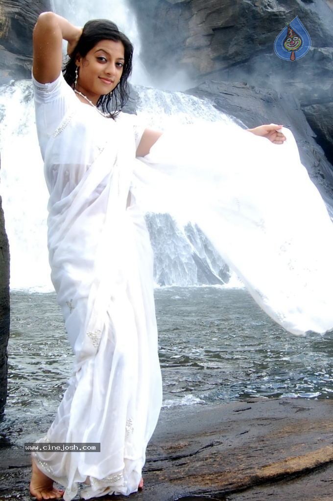 Keerthi Chawla Spicy Stills - 72 / 150 photos