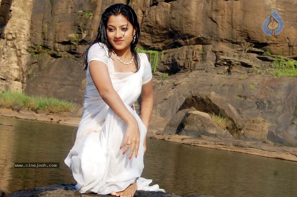 Keerthi Chawla Spicy Stills - 114 / 150 photos