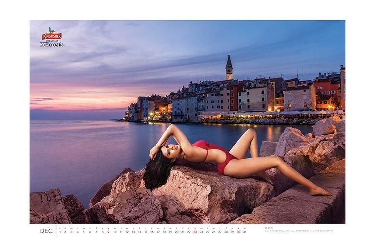 Kingfisher 2018 Calendar Photos - 6 / 12 photos