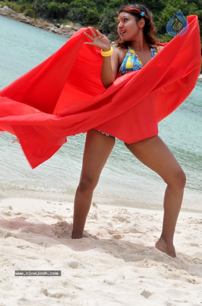 Komal Jha New Spicy Photos - 35 / 66 photos