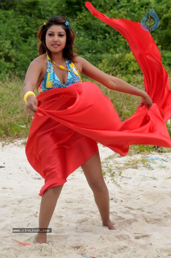 Komal Jha New Spicy Photos - 50 / 66 photos