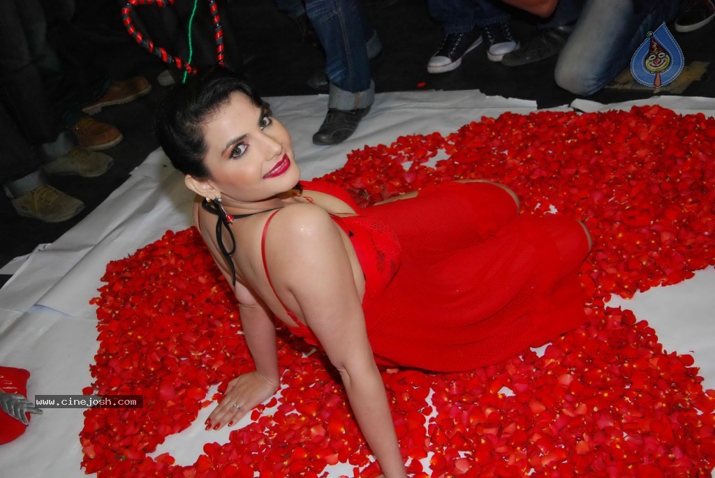 Madhavi Sharma Hot Photos - 30 / 36 photos