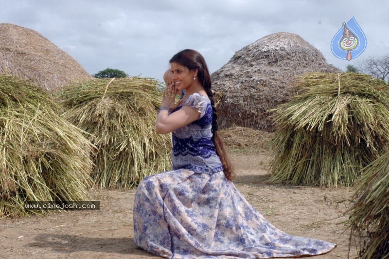 Madhu Sharma Spicy Stills In Wall Poster Movie - 23 / 78 photos