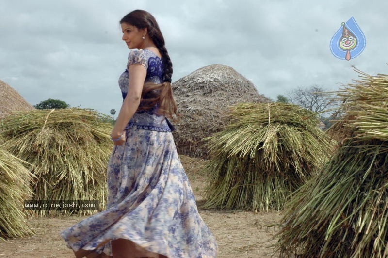 Madhu Sharma Spicy Stills In Wall Poster Movie - 35 / 78 photos