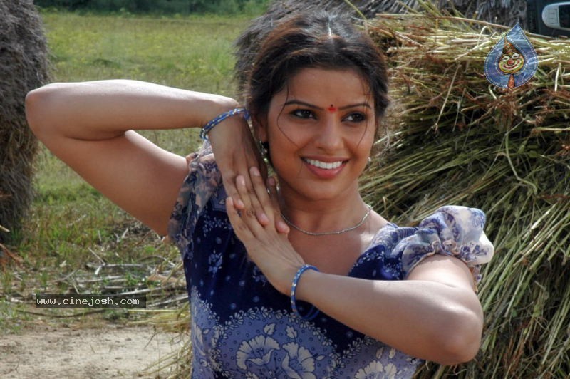 Madhu Sharma Spicy Stills In Wall Poster Movie - 41 / 78 photos