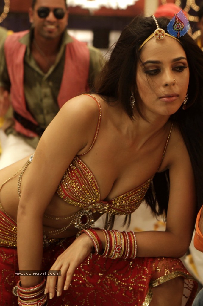 Mallika Sherawat Spicy Stills - 40 / 41 photos