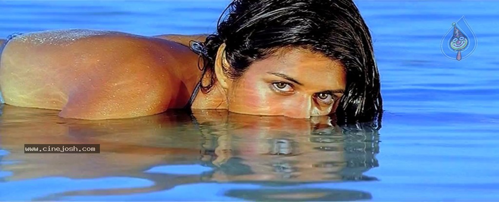 Mogudu Movie Spicy Song Stills - 25 / 58 photos