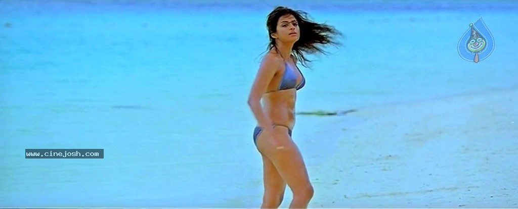 Mogudu Movie Spicy Song Stills - 28 / 58 photos
