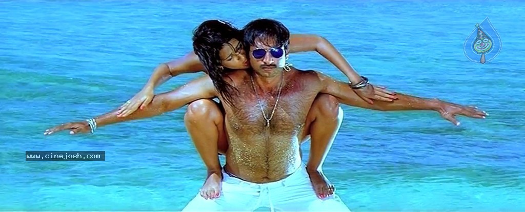 Mogudu Movie Spicy Song Stills - 35 / 58 photos