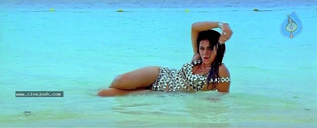 Mogudu Movie Spicy Song Stills - 38 / 58 photos