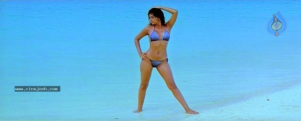 Mogudu Movie Spicy Song Stills - 39 / 58 photos