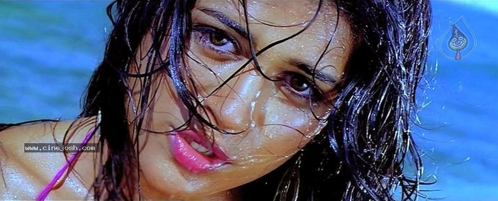 Mogudu Movie Spicy Song Stills - 42 / 58 photos