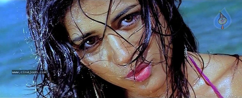 Mogudu Movie Spicy Song Stills - 47 / 58 photos
