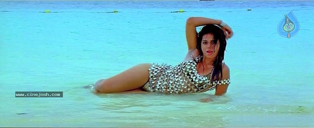 Mogudu Movie Spicy Song Stills - 49 / 58 photos