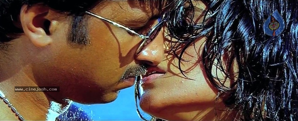 Mogudu Movie Spicy Song Stills - 50 / 58 photos