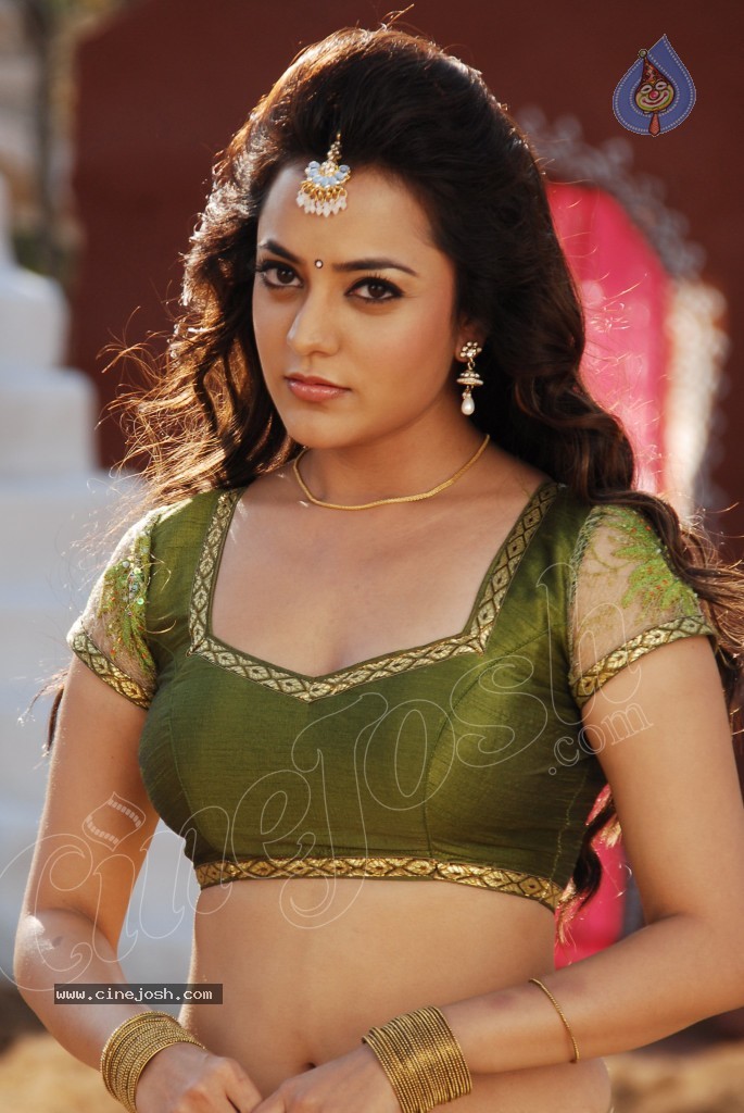 Nisha Agarwal Spicy Pics - 60 / 120 photos