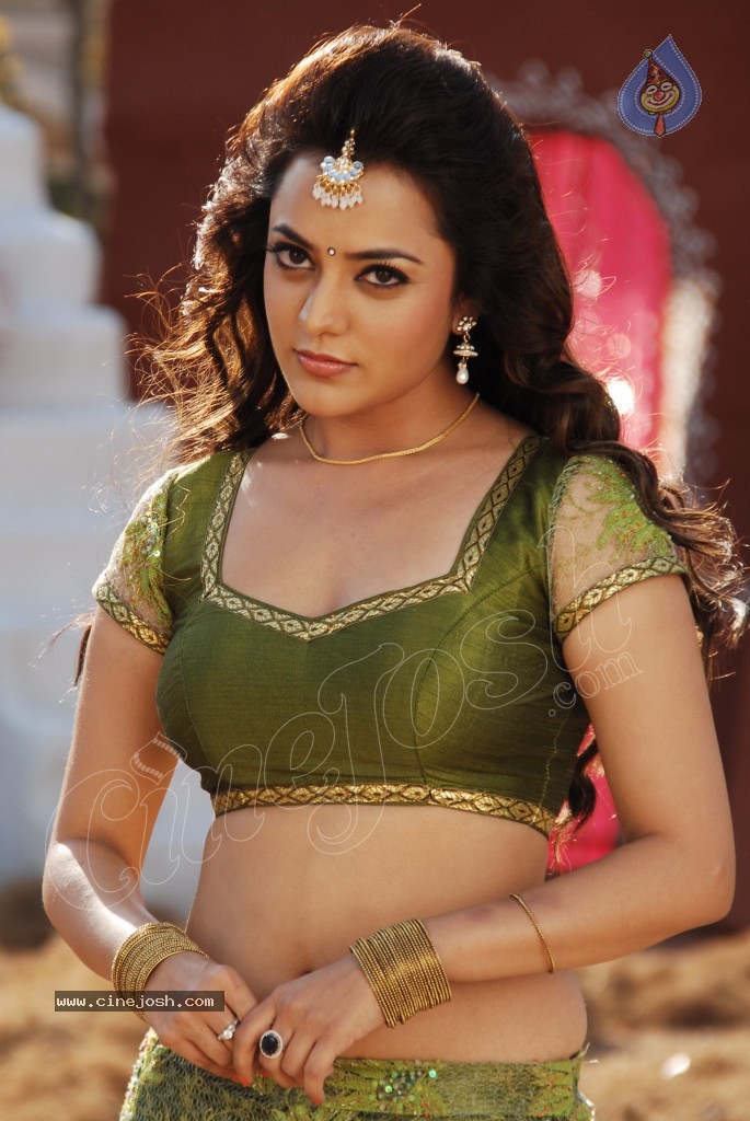 Nisha Agarwal Spicy Pics - 71 / 120 photos