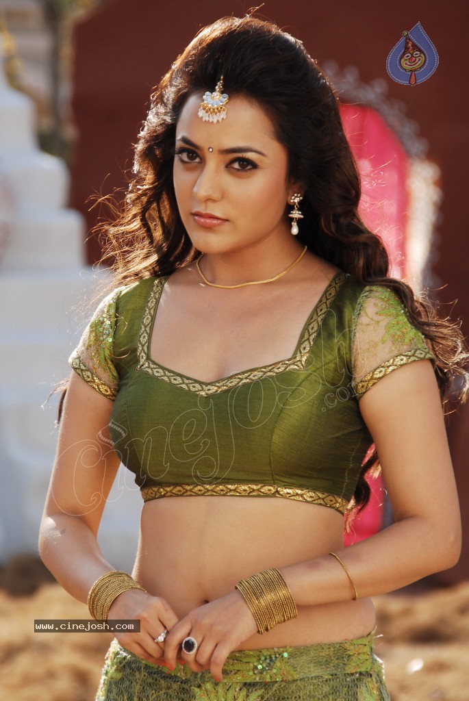 Nisha Agarwal Spicy Pics - 87 / 120 photos