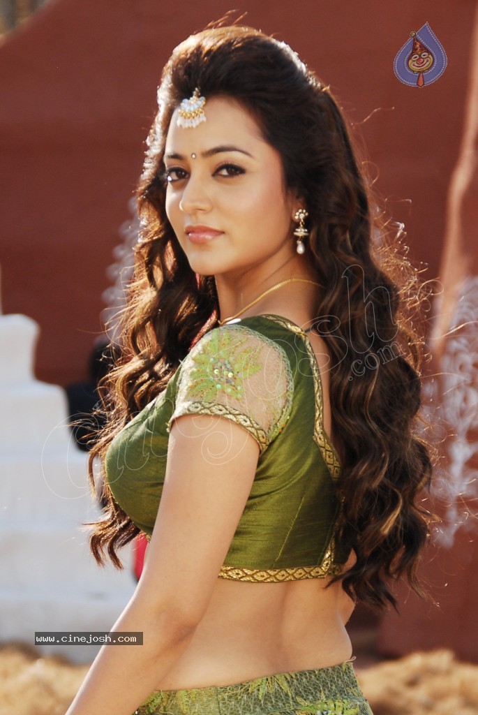 Nisha Agarwal Spicy Pics - 120 / 120 photos