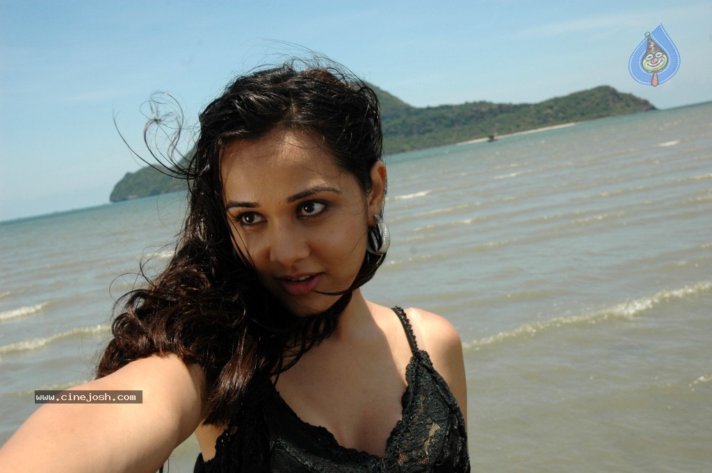 Nisha Kothari New Hot Stills - 13 / 57 photos