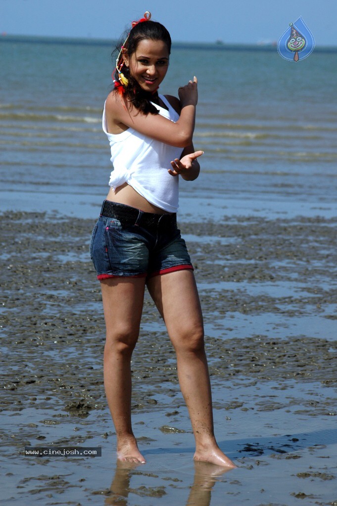 Nisha Kothari New Hot Stills - 21 / 57 photos