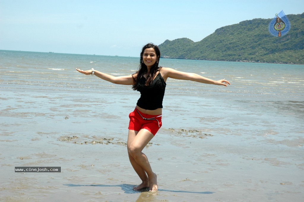 Nisha Kothari New Hot Stills - 35 / 57 photos