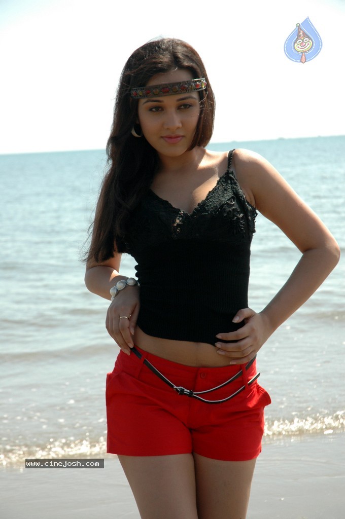 Nisha Kothari New Hot Stills - 47 / 57 photos