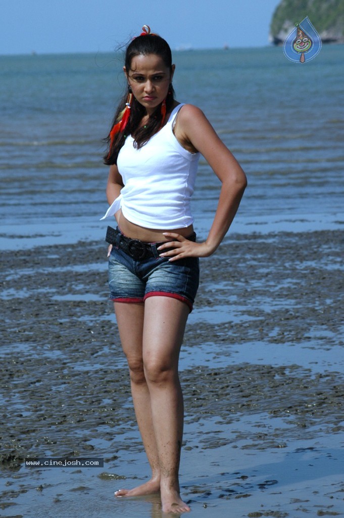 Nisha Kothari New Hot Stills - 50 / 57 photos