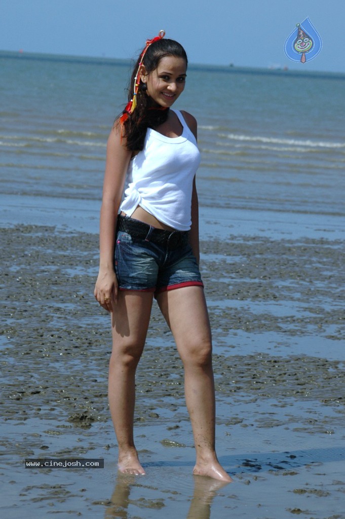 Nisha Kothari New Hot Stills - 57 / 57 photos