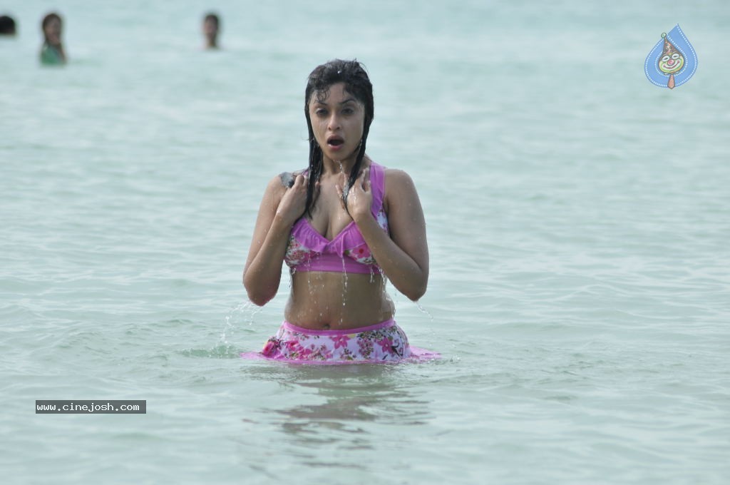 Payal Ghosh (Harika) Spicy Gallery - 5 / 96 photos