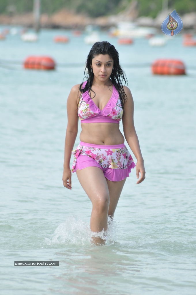 Payal Ghosh (Harika) Spicy Gallery - 23 / 96 photos