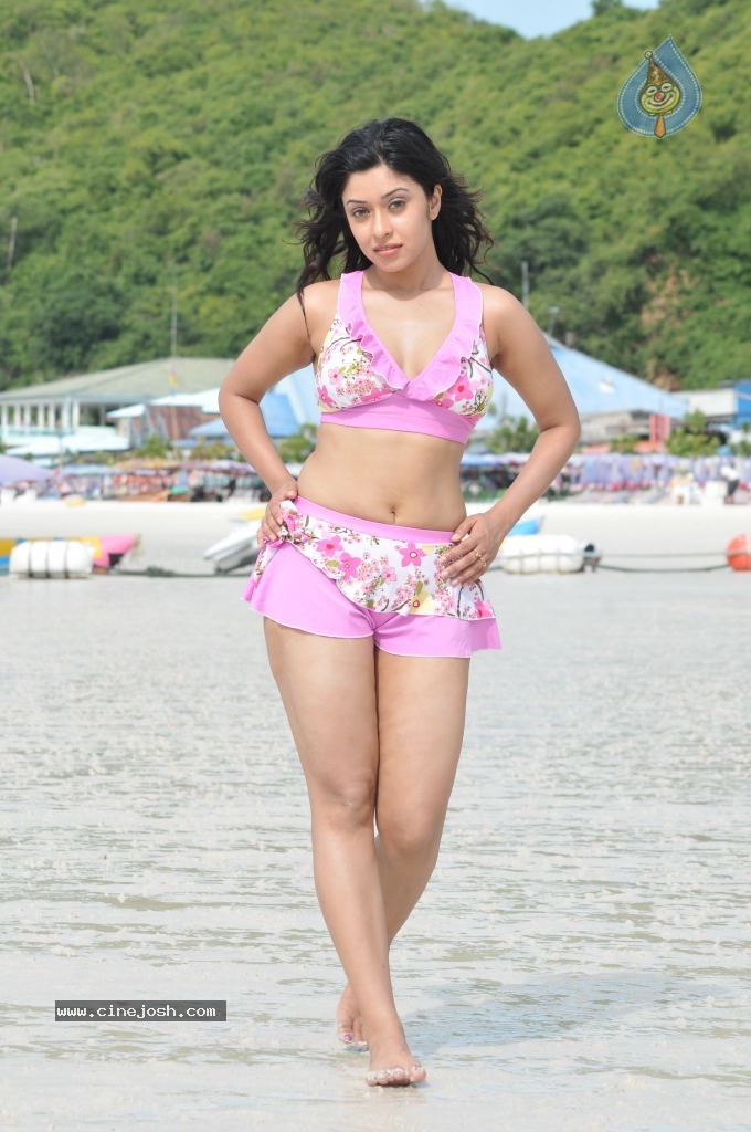 Payal Ghosh (Harika) Spicy Gallery - 28 / 96 photos