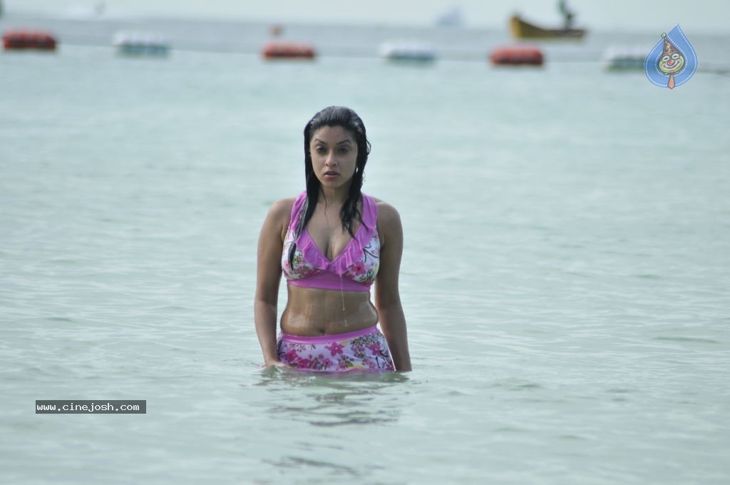 Payal Ghosh (Harika) Spicy Gallery - 30 / 96 photos