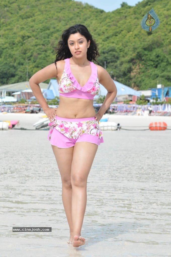 Payal Ghosh (Harika) Spicy Gallery - 32 / 96 photos