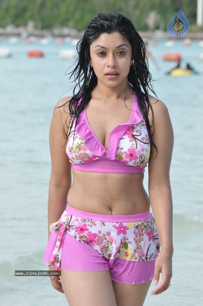 Payal Ghosh (Harika) Spicy Gallery - 33 / 96 photos