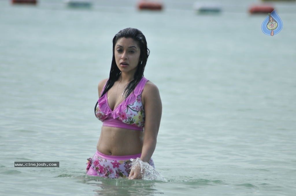 Payal Ghosh (Harika) Spicy Gallery - 34 / 96 photos
