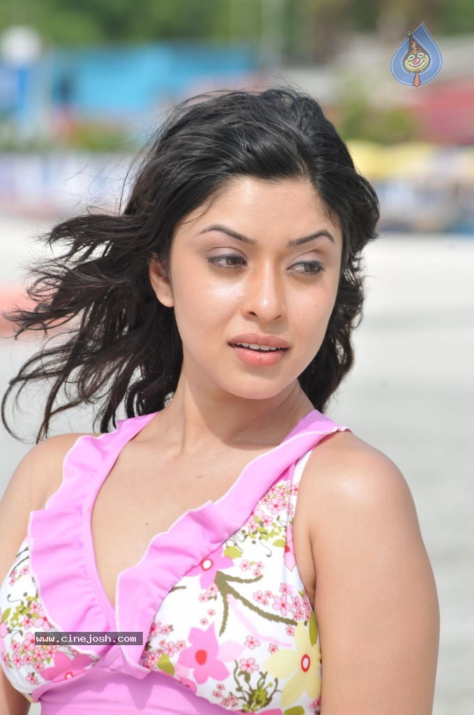 Payal Ghosh (Harika) Spicy Gallery - 37 / 96 photos
