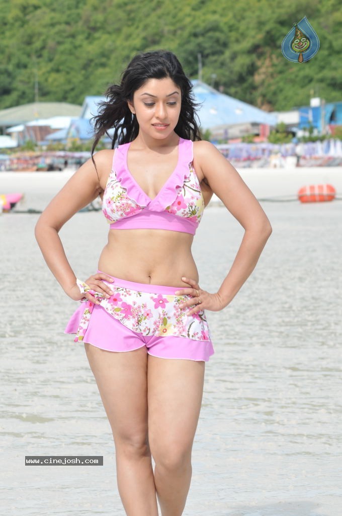Payal Ghosh (Harika) Spicy Gallery - 40 / 96 photos