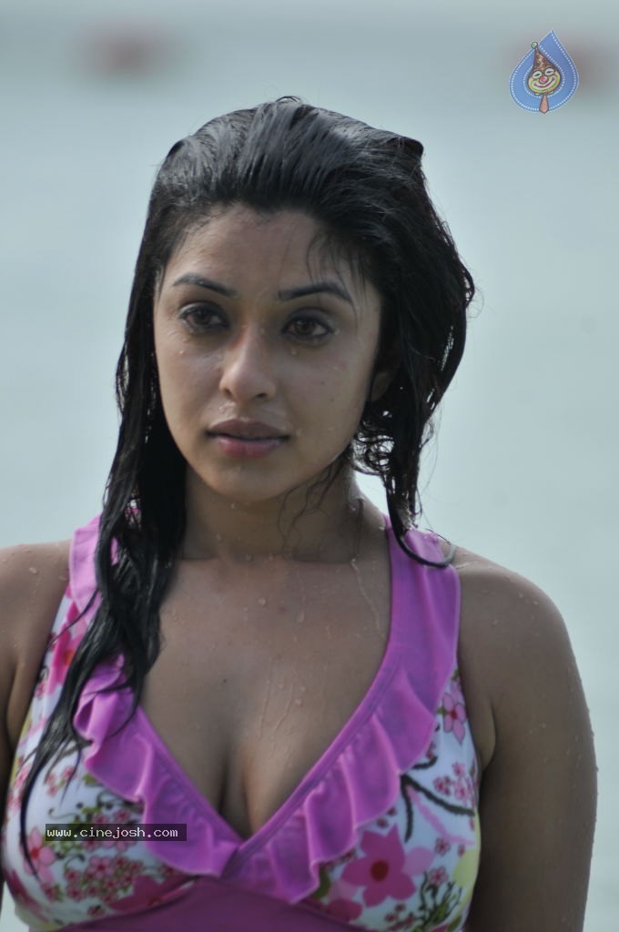 Payal Ghosh (Harika) Spicy Gallery - 51 / 96 photos