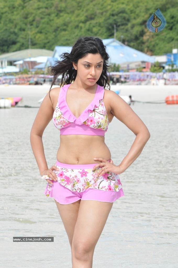 Payal Ghosh (Harika) Spicy Gallery - 54 / 96 photos