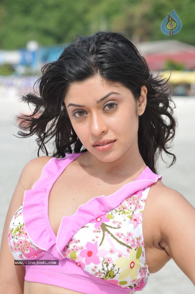 Payal Ghosh (Harika) Spicy Gallery - 56 / 96 photos