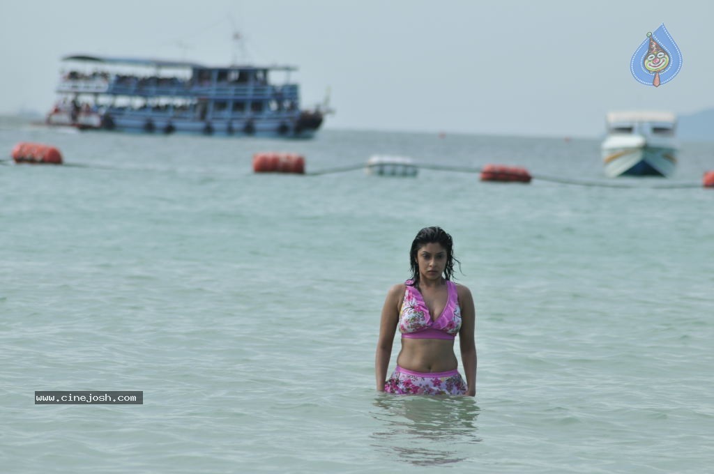Payal Ghosh (Harika) Spicy Gallery - 58 / 96 photos