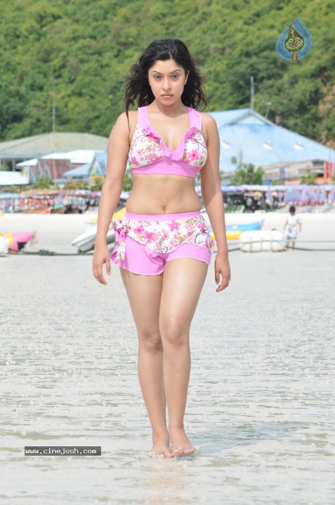 Payal Ghosh (Harika) Spicy Gallery - 79 / 96 photos