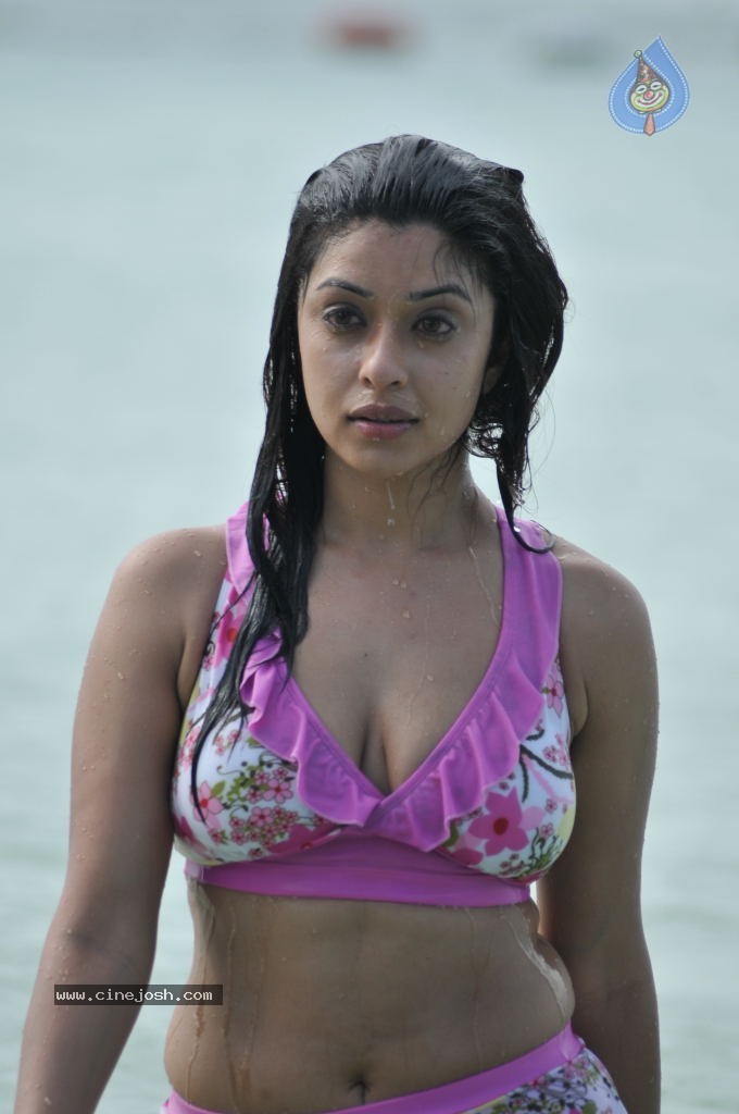 Payal Ghosh (Harika) Spicy Gallery - 89 / 96 photos