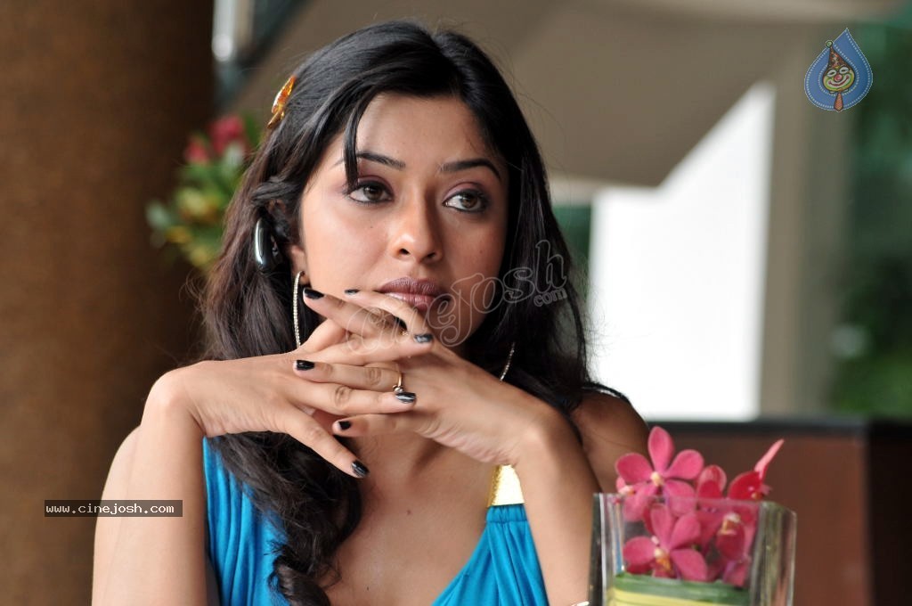 Payal Ghosh Spicy Photo Gallery - 71 / 103 photos