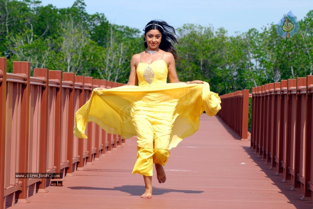 Payal Ghosh Spicy Photo Gallery - 74 / 103 photos